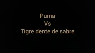 PUMA VS TIGRE DENTE DE SABRE