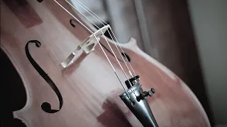 The Phantom of the Opera   Prague Cello Quartet