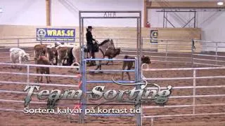 WRAS reklamfilm om westernridning