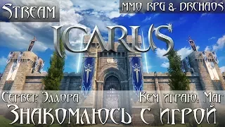 Icarus Online [Пьяный стрим/Знакомство с игрой] [Сервер: Эллора] #1