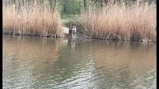 Браконьеры на воде/ БРАКОНЬЕРСКИЕ  СЕТИ/ Прогнал браконьера