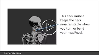 Trap Pain when Lifting? What to Know about the Trapezius When Working Out