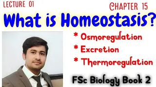 Homeostasis class 12 biology chap15 | by irtisams biology