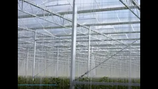 Dutch modern sustainable greenhouse - Construction