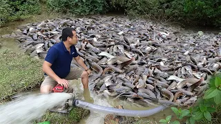 Fishing Catch Many Fish With A Large Pump Sucks Water In The Lake, Wow Fishing Exciting