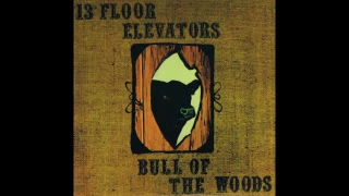 13th Floor Elevators - Livin' On