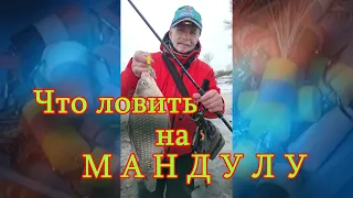 Константин Кузьмин. Что ловить на мандулу?