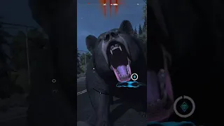 Deadly bear attack