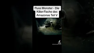 Fluss Monster - Die Killer-Fische des Amazonas Teil V