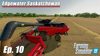 Excelent yield by swathing our Barley field | Edgewater Saskatchewan Timelapse #10