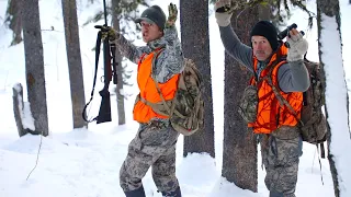 I saw the BIGGEST BULL of my life, hunting in Montana