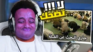 اتحداك ما تضحك بالمقطع هذا ! 🤣