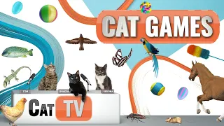 CAT Games | Ultimate Cat TV Compilation Vol 40 | 2 HOURS 🐝🐞🦋🦎🦜🐜🐭🧵