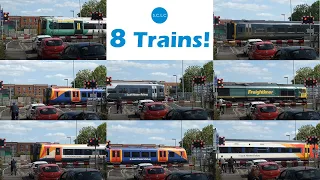 8 Trains! Southampton Level Crossing 15/08/2019 (Busiest road crossing in the UK!)