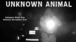 Animal Tearing apart a Tree? - Bigfoot Night Hike  - In the Shadow of Big Red Eye