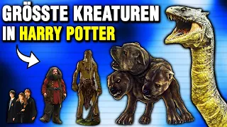 Die 10 größten Kreaturen in Harry Potter (RANKED)