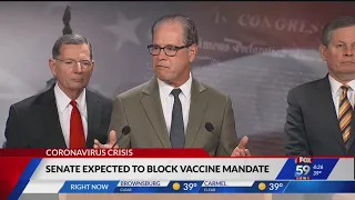 Indiana Sen. Braun backs businesses setting vaccine rules