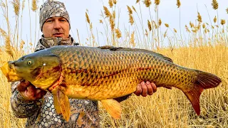 Fishing 2022 or 100kg of fish in 20 minutes Fishing on spider lift from a boat Fucked a tub of carp