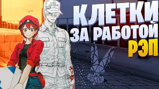 White R - Клетки за работой | Cells at Work | Рэп по Аниме