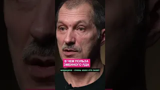 Польза змеиного яда