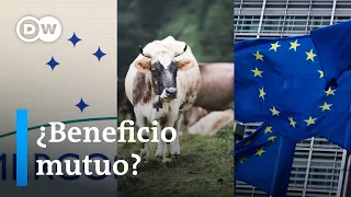 Acuerdo UE-Mercosur podría crear la mayor área de libre comercio del mundo