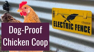 Electric Fence for Chicken Coop