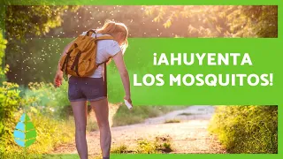 15 REMEDIOS CASEROS para los MOSQUITOS 🦟🍊 ¡Ahuyéntalos!