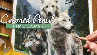 Realistic Wolves Colored Pencil Drawing | Timelapse