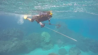 Spearfishing in Maui
