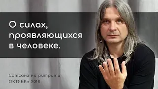 О силах, проявляющихся в человеке (Алунайя. Сатсанг на ретрите "Естность")