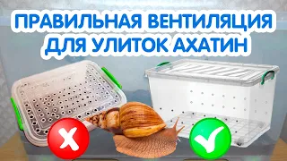 Вентиляция для улиток ахатин. Как сделать вентиляцию в контейнере для улиток?