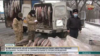 Рыбу сомнительного происхождения продавали в Алматы