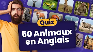 QUIZ Anglais : 50 Animaux à traduire 🦊 🇬🇧 🪱