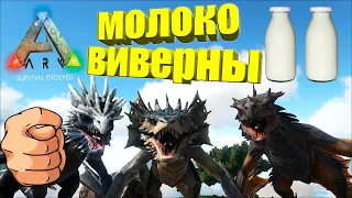 КАК ДОБЫТЬ МОЛОКО ВИВЕРНЫ В ARK SURVIVAL EVOLVED=)