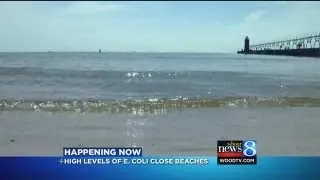 High E. coli levels at S. Haven beaches