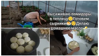 Высаживаю в теплицу высокорослые помидоры🙂 Готовим сырники. Делаю домашнее масло. Затеняем теплицу🤗