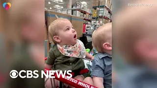 Halloween decorations leave baby twins in awe