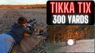 Prairie Dog Silhouette 300 Yards with Tikka T1x .22LR