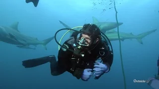 Shark Diving in South Africa | Descending
