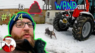 FarmVlog 174: Ja SCH... die Wand an | Der Stress wird nicht weniger  #XMASDAILY 17.Dezember