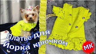 Dress for a dog by Crochet | Платье (свитер) для собаки Йорка крючком