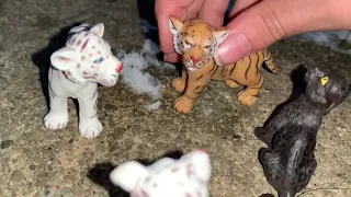 A Tiger story /Part 3/ Schleich/