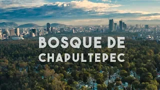 El Bosque de Chapultepec Mejor Que Central Park