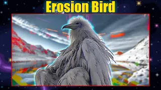 Erosion Bird Explained!