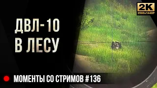 Снайпер с ДВЛ-10 в Лесу • Escape from Tarkov №136 [2K]