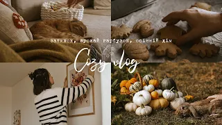 Cozy vlog 🍂 Home decor until autumn, pumpkin harvest 🍁☕️Autumn inspiration and cozy evening