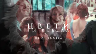 Multifandom//Ты цвети(Hbd Tequila)