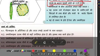 Solution of science worksheet  -46 Class IX ( Tissue) 19/10/2020 Hindi medium