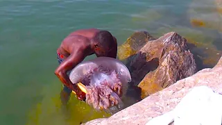 Lucky Fishermen Caught Something Incredible