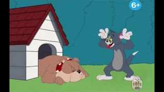 Tom & Jerry going to the dentist part 2